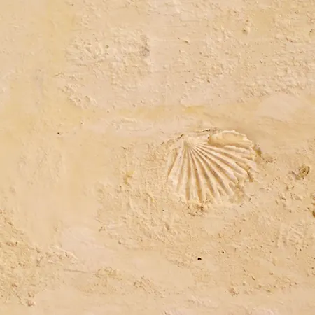 ベッド・アンド・ブレックファスト Sotto La Volta 4*