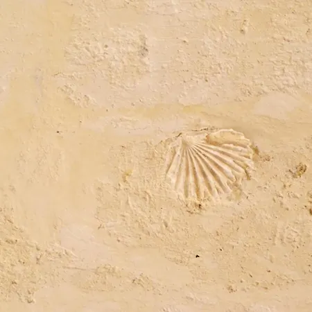 Sotto La Volta ベッド・アンド・ブレックファスト